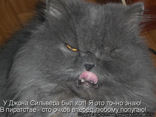 Котоматрица: У Джона Сильвера был кот! Я это точно знаю! В пиратстве - сто очков вперёд любому попугаю!