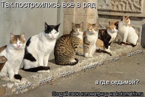 Так.построились все в ряд первый второй третий четвёртый пятый шестой а где се... Котоматрица: Так.построились все в ряд первый второй третий четвёртый пятый шестой а где седьмой?