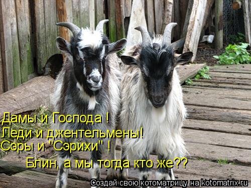 Дамы и Господа ! Леди и джентельмены! Сэры и "Сэрихи" ! Блин, а мы тогда кто же??... Котоматрица: Дамы и Господа ! Леди и джентельмены! Сэры и "Сэрихи" ! Блин, а мы тогда кто же??