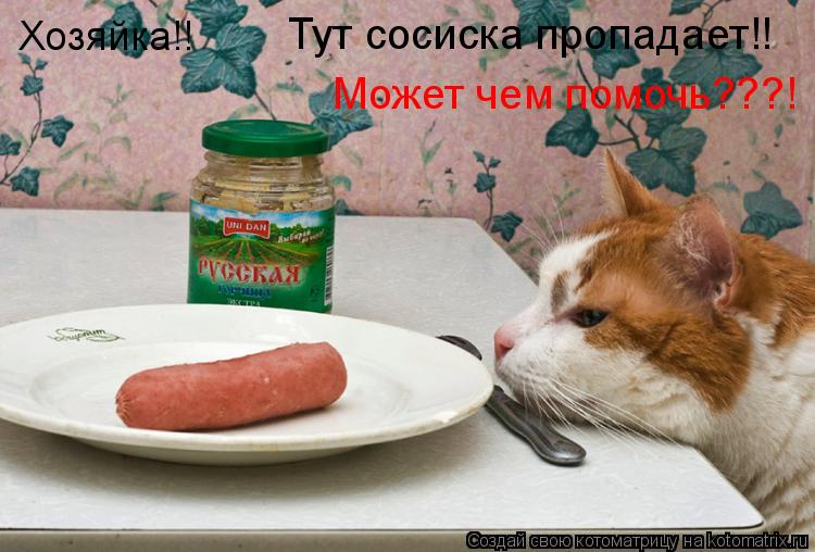 Котоматрица: Хозяйка!! Тут сосиска пропадает!! Может чем помочь???!