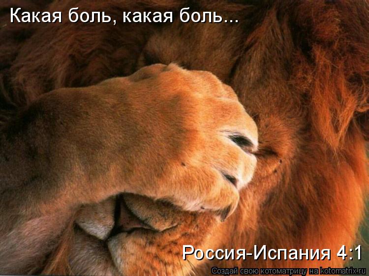 Котоматрица: Какая боль, какая боль... Россия-Испания 4:1