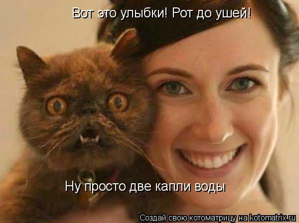 Вот это улыбки! Рот до ушей! Ну просто две капли воды... Котоматрица: Вот это улыбки! Рот до ушей! Ну просто две капли воды