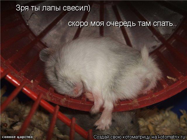 Котоматрица: Зря ты лапы свесил) скоро моя очередь там спать..