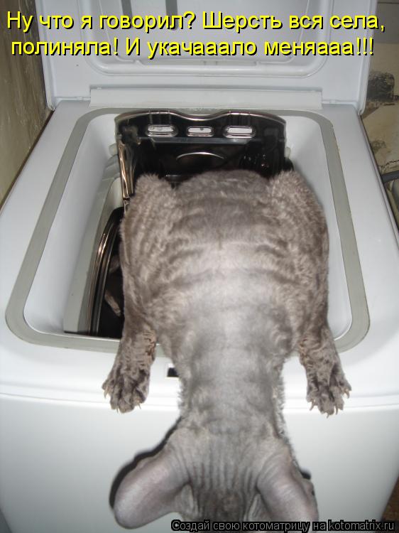 Котоматрица: Ну что я говорил? Шерсть вся села,  полиняла! И укачааало меняааа!!!