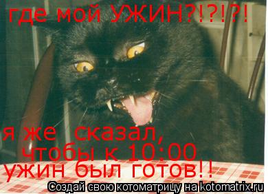 Котоматрица: где мой УЖИН?!?!?! я же  сказал, чтобы к 10:00 ужин был готов!!