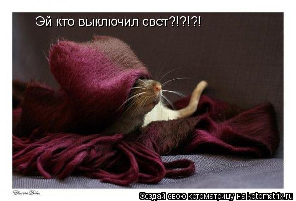 Котоматрица: Эй кто выключил свет?!?!?!