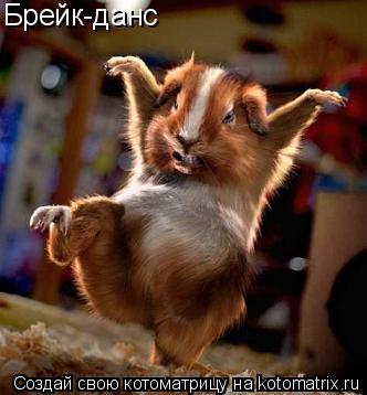 Котоматрица: Брейк-данс