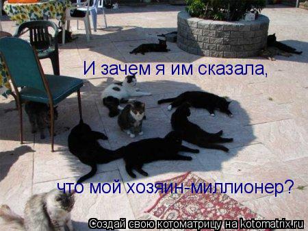 Котоматрица: И зачем я им сказала, что мой хозяин-миллионер?