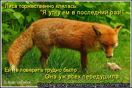 Котоматрица: Лиса торжественно клялась: "Я утку ем в последний раз!" Ей не поверить трудно было Она уж всех передушила