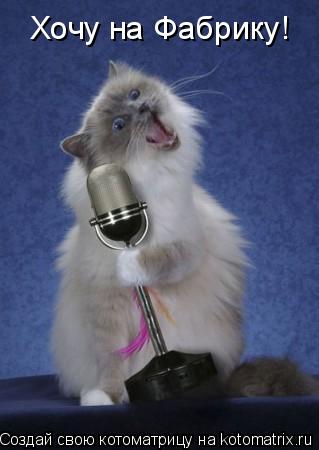 Котоматрица: Хочу на Фабрику!