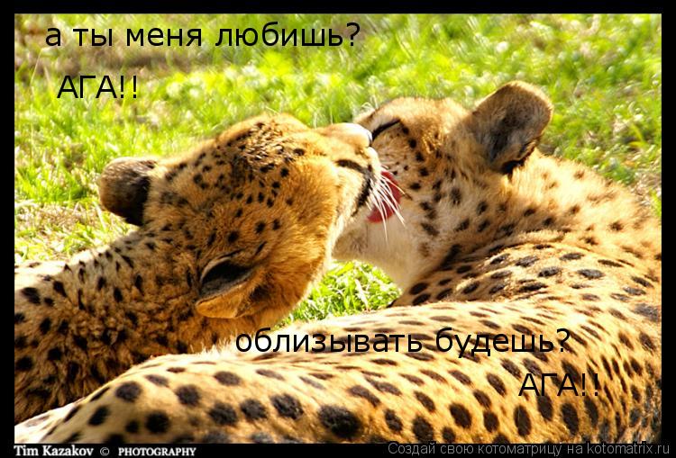 Котоматрица: а ты меня любишь? АГА!! облизывать будешь? АГА!!