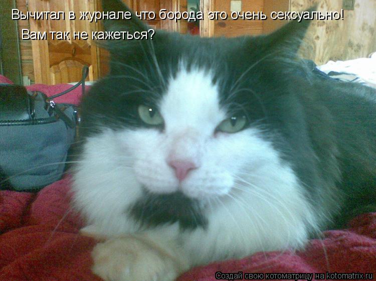 Котоматрица: Вычитал в журнале что борода это очень сексуально! Вам так не кажеться?