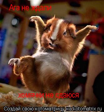 Ага не ждали хомячки не сдаюся... Котоматрица: Ага не ждали хомячки не сдаюся