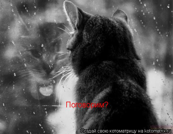 Котоматрица: Поговорим?