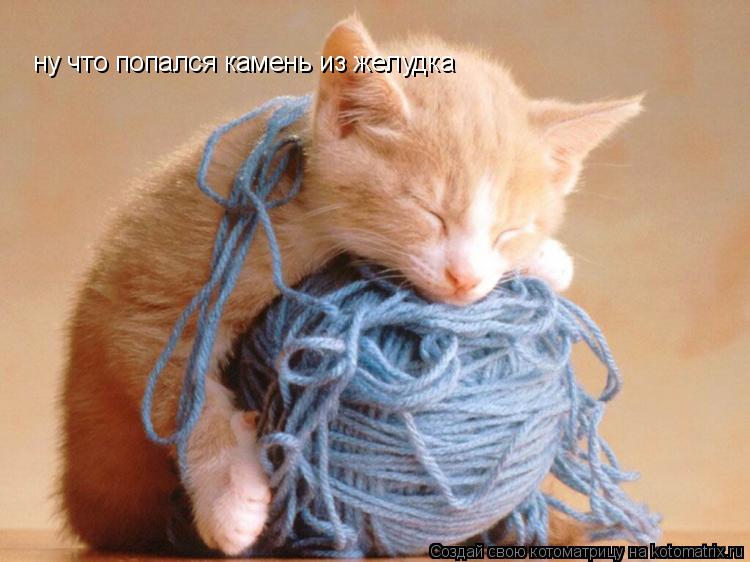 Котоматрица: ну что попался камень из желудка
