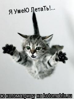 Котоматрица: Я УмеЮ ЛетаТь!...