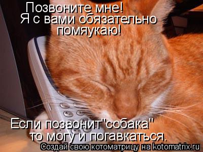 Котоматрица: Позвоните мне! Я с вами обязательно  помяукаю! Если позвонит"собака" то могу и погавкаться.
