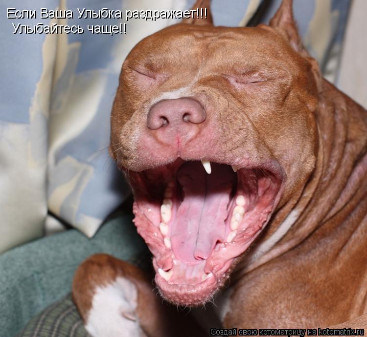 Котоматрица: Если Ваша Улыбка раздражает!!! Улыбайтесь чаще!!