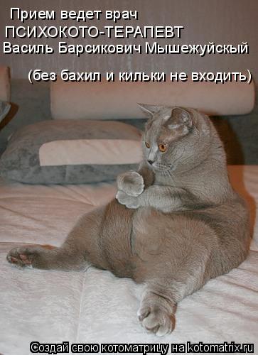 Прием ведет врач ПСИХОКОТО-ТЕРАПЕВТ Василь Барсикович Мышежуйскый (без бахил и кильки не входить)... Котоматрица: Прием ведет врач ПСИХОКОТО-ТЕРАПЕВТ Василь Барсикович Мышежуйскый (без бахил и кильки не входить)