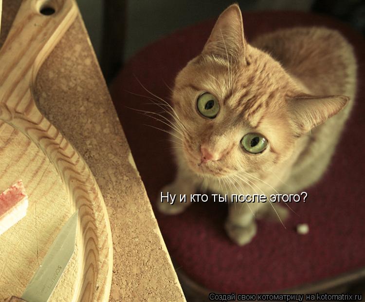 Котоматрица: Ну и кто ты после этого?