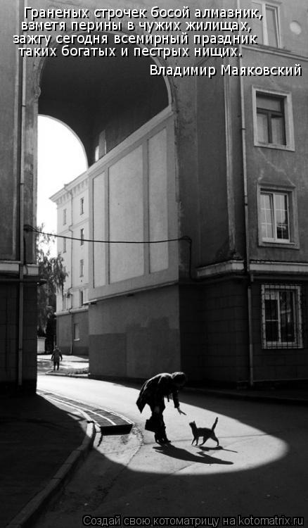 Котоматрица: Граненых строчек босой алмазник, взметя перины в чужих жилищах, зажгу сегодня всемирный праздник таких богатых и пестрых нищих. Владимир М