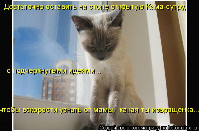 Котоматрица: Достаточно оставить на столе открытую Кама-сутру, с подчеркнутыми идеями... чтобы вскорости узнать от мамы,  какая ты извращенка...