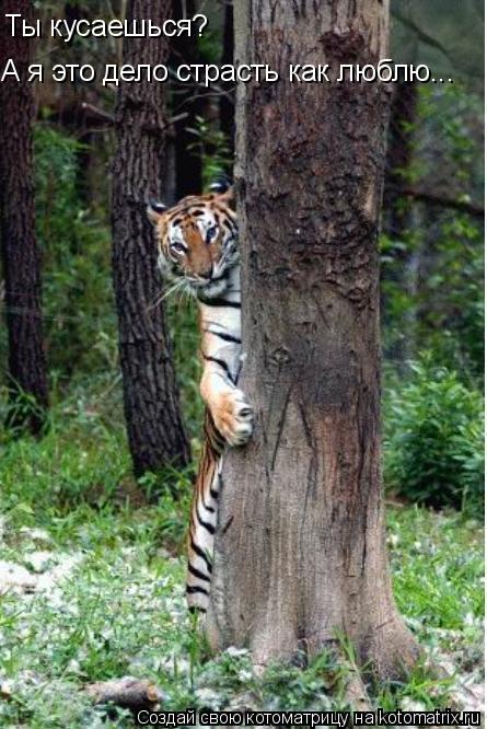 Котоматрица: А я это дело страсть как люблю... Ты кусаешься?