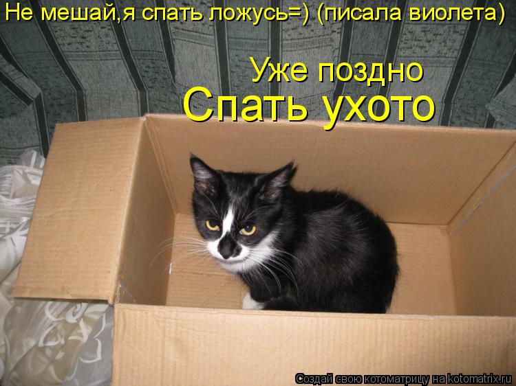 Подарите мне монитор Подарите мне монитор