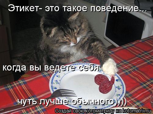 Этикет- это такое поведение... когда вы ведете себя чуть лучше обычного))))... Котоматрица: Этикет- это такое поведение... когда вы ведете себя чуть лучше обычного))))