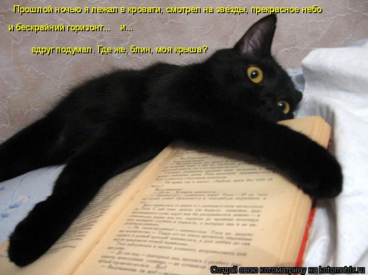 Котоматрица: Прошлой ночью я лежал в кровати, смотрел на звезды, прекрасное небо  и бескрайний горизонт...  вдруг подумал. Где же, блин, моя крыша? и...