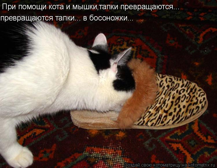 Котоматрица: При помощи кота и мышки, превращаются тапки... в босоножки... тапки превращаются...
