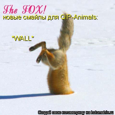 Котоматрица: новые смайлы для QIP-Animals: *WALL*