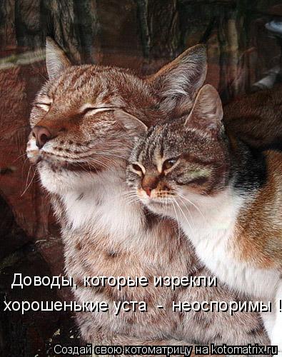 Котоматрица: Доводы, которые изрекли  хорошенькие уста  -  неоспоримы !