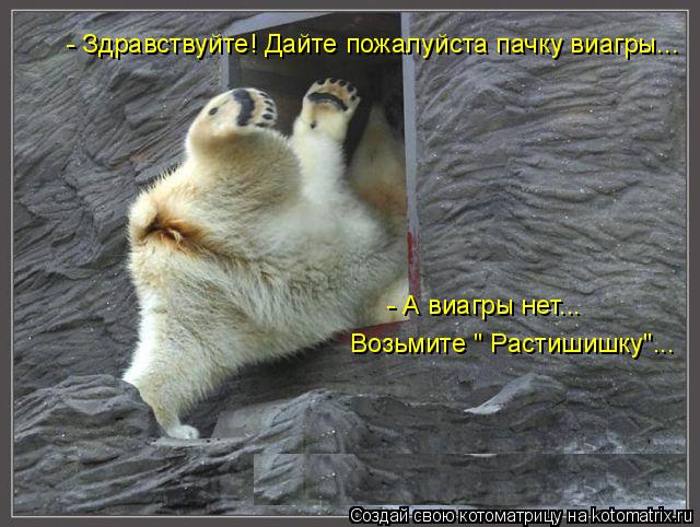 Котоматрица: - Здравствуйте! Дайте пожалуйста пачку виагры... - А виагры нет...  Возьмите " Растишишку"...