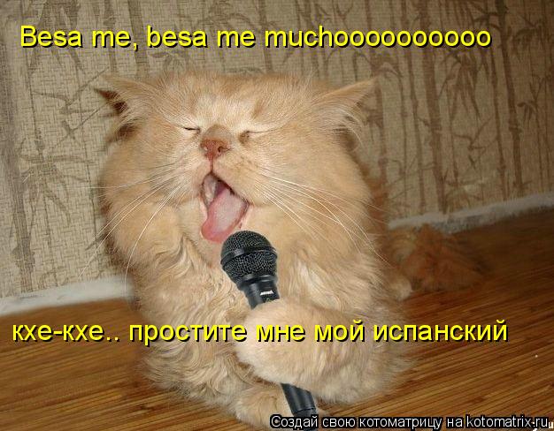 Котоматрица: Besa me, besa me muchoooooooooo кхе-кхе.. простите мне мой испанский
