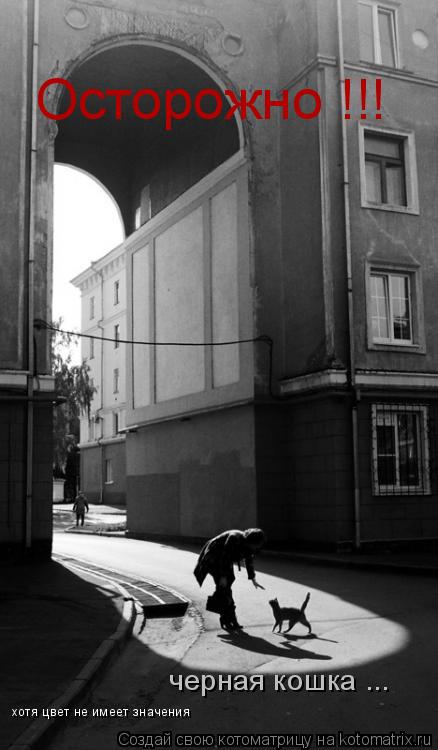 Котоматрица: Осторожно !!! черная кошка ... хотя цвет не имеет значения