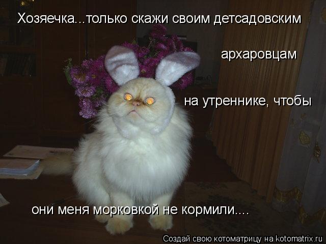 Хозяечка...только скажи своим детсадовским архаровцам на утреннике, чтобы они меня морковкой не корми... Котоматрица: Хозяечка...только скажи своим детсадовским архаровцам на утреннике, чтобы они меня морковкой не кормили....