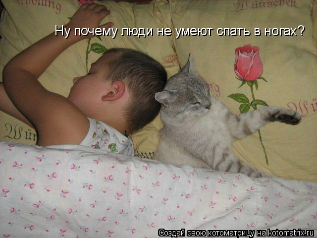 Ну почему люди не умеют спать в ногах?... Котоматрица: Ну почему люди не умеют спать в ногах?
