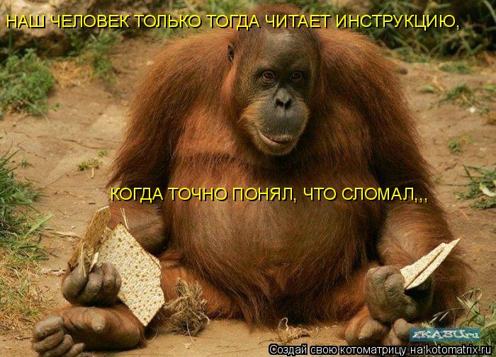 Котоматрица: НАШ ЧЕЛОВЕК ТОЛЬКО ТОГДА ЧИТАЕТ ИНСТРУКЦИЮ, КОГДА ТОЧНО ПОНЯЛ, ЧТО СЛОМАЛ,,,