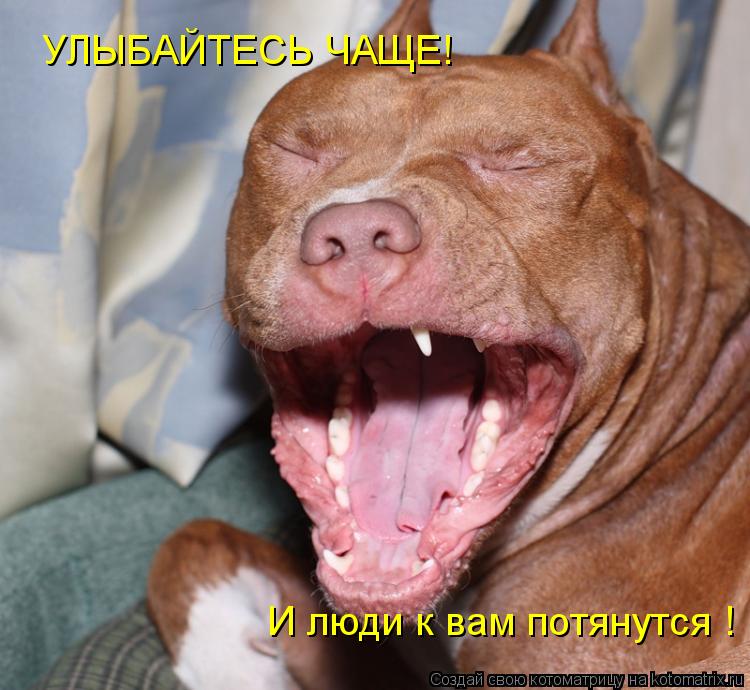 УЛЫБАЙТЕСЬ ЧАЩЕ! И люди к вам потянутся !... Котоматрица: УЛЫБАЙТЕСЬ ЧАЩЕ! И люди к вам потянутся !