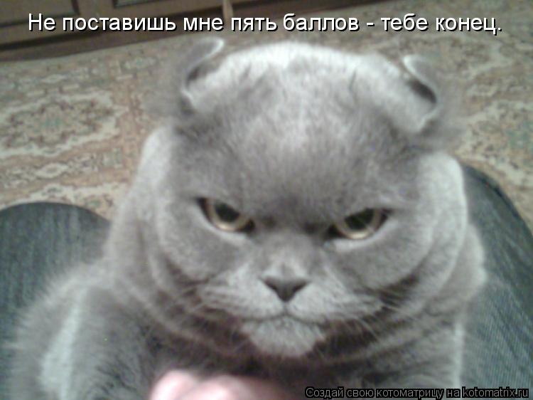 Котоматрица: Не поставишь мне пять баллов - тебе конец.