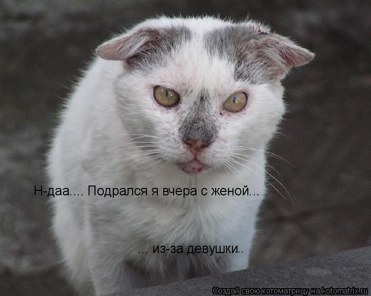 Котоматрица: ... из-за девушки ...  Н-даа.... Подрался я вчера с женой...
