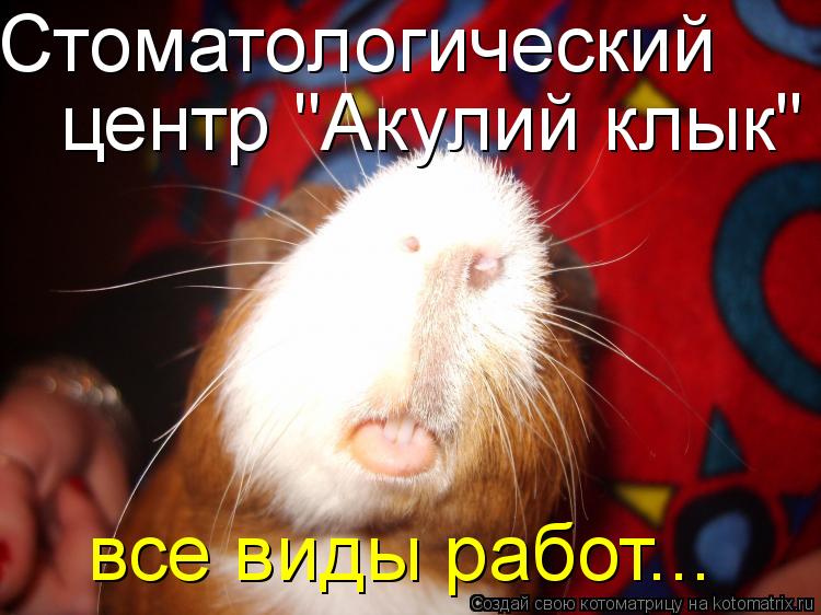 Котоматрица: Стоматологический центр "Акулий клык" все виды работ...