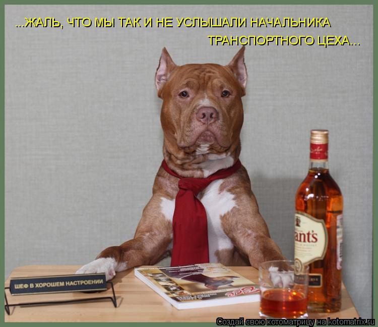 Котоматрица: ...ЖАЛЬ, ЧТО МЫ ТАК И НЕ УСЛЫШАЛИ НАЧАЛЬНИКА ТРАНСПОРТНОГО ЦЕХА...