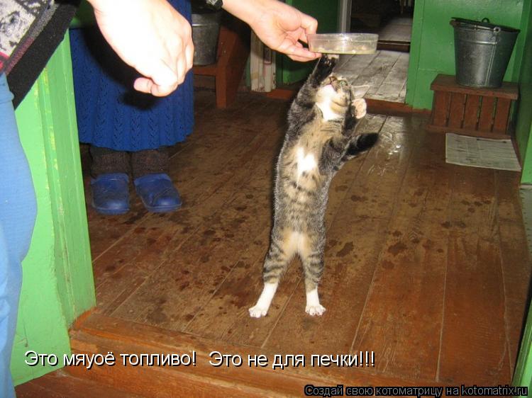 Котоматрица: Это мяуоё топливо! Это не для печки!!!