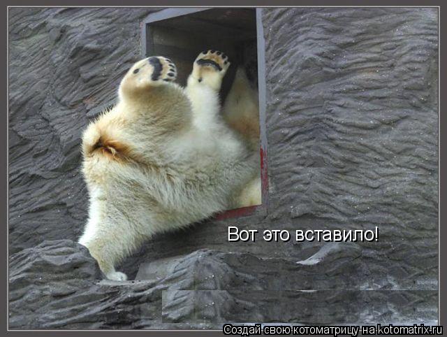 Котоматрица: Вот это вставило!