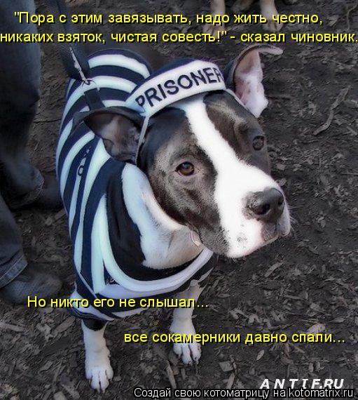 "Пора с этим завязывать, надо жить честно, никаких взяток, чистая совесть!" - сказал чиновник. Но ни... Котоматрица: "Пора с этим завязывать, надо жить честно, никаких взяток, чистая совесть!" - сказал чиновник. Но никто его не слышал... все сокамерники давно