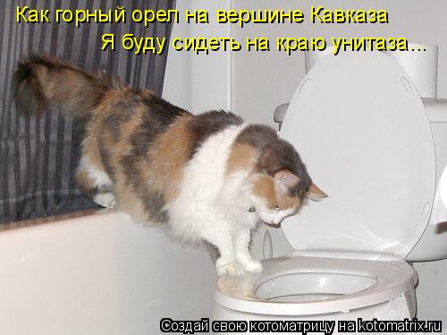 Котоматрица: Как горный орел на вершине Кавказа Я буду сидеть на краю унитаза...