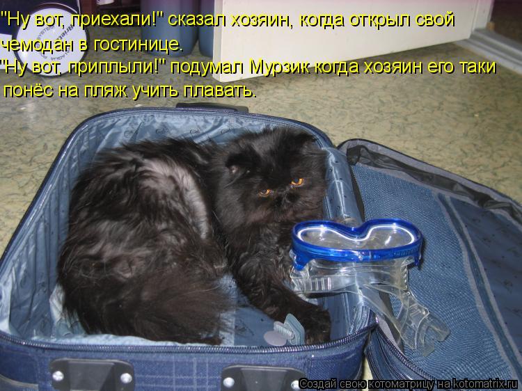 Котоматрица: "Ну вот, приехали!" сказал хозяин, когда открыл свой  чемодан в гостинице. "Ну вот, приплыли!" подумал Мурзик когда хозяин его таки  понёс на пл