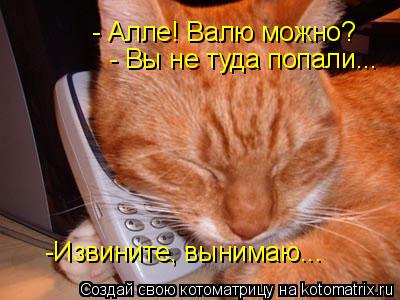 Котоматрица: - Алле! Валю можно? - Вы не туда попали... -Извините, вынимаю...